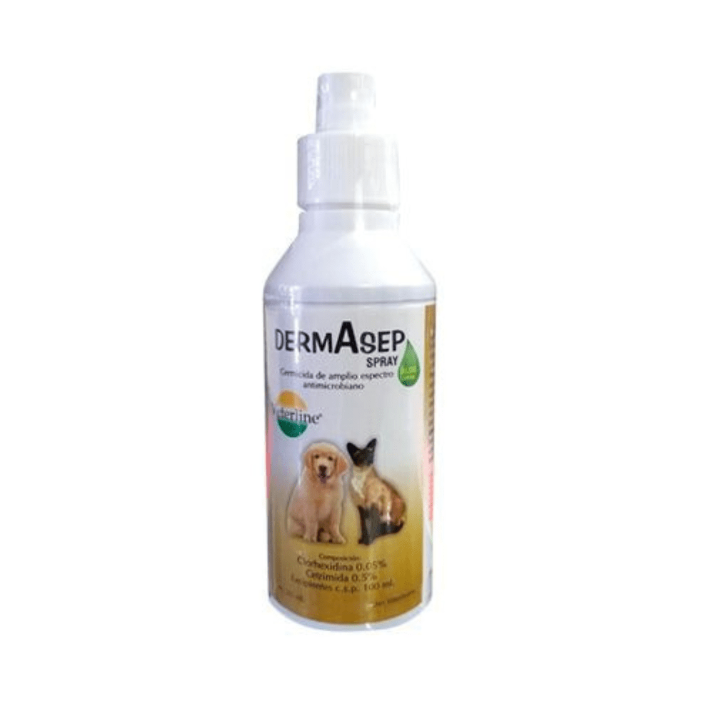 DERMASEP SPRAY 265 ML