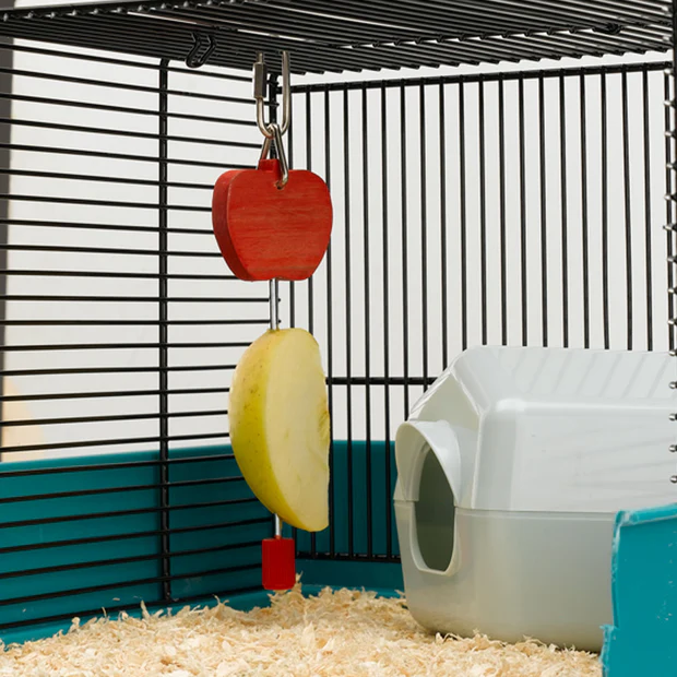 FRUIT HOLDER FERPLAST