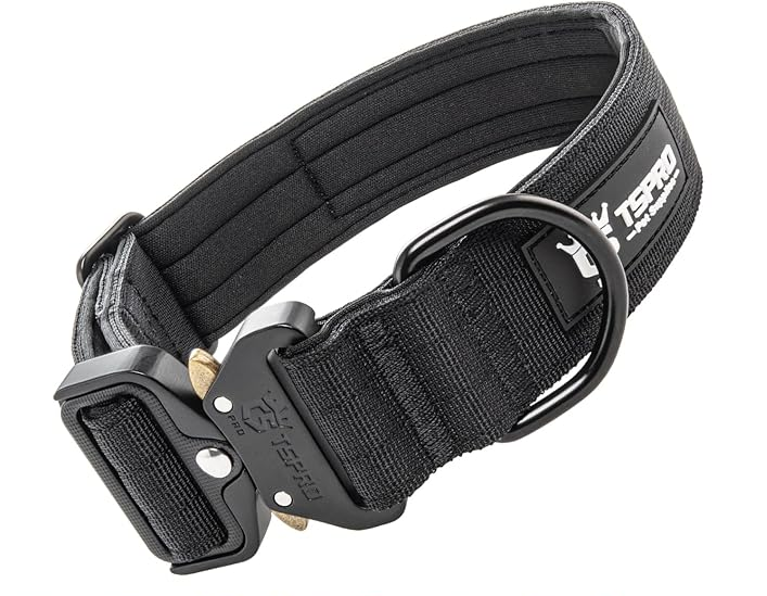 COLLAR CON ASA PARA MASCOTA MEDIANA
