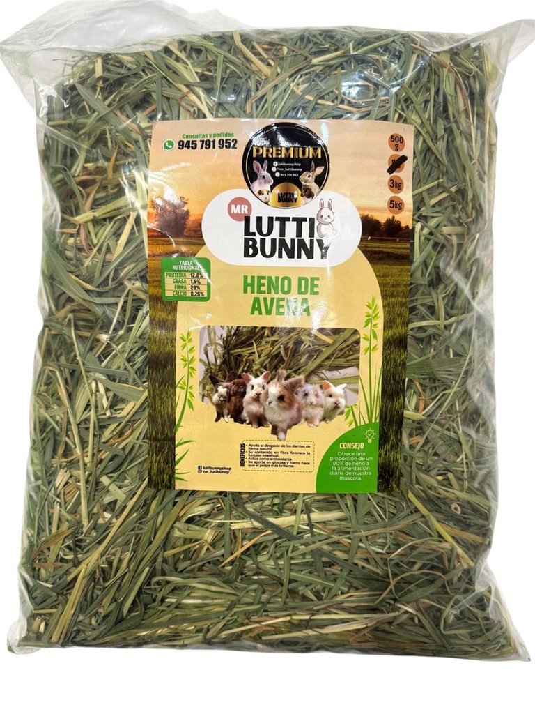 MR LUTTI HENO DE AVENA PREMIUM 1KG 