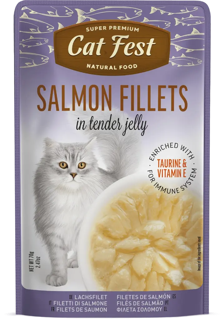 CAT FEST SALMON FILLETS IN TENDER JELLY 70GR