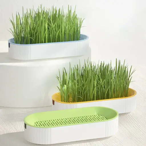 CAT GRASS - DEAR CAT 150 GR