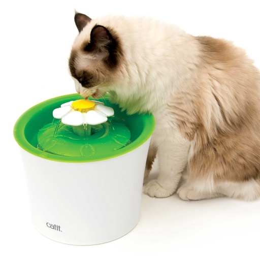 CAT IT FUENTE DE AGUA