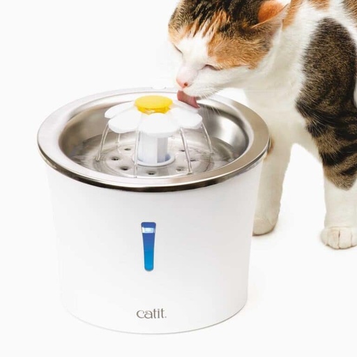 CAT IT FUENTE DE AGUA-ACERO INOXIDABLE