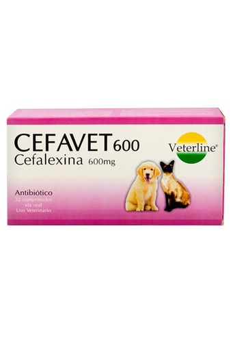 CEFAVET 600 X UNIDAD