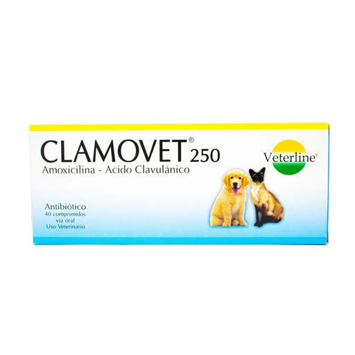 CLAMOVET 250 X UNIDAD