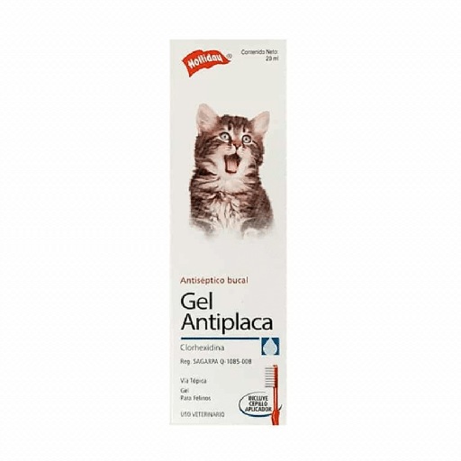 CLORHEXIDINA GEL ANTIPLACA 20ML