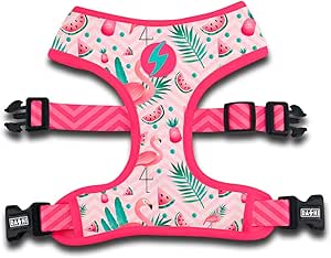 DASHI FLAMINGO NEO MESH MEDIUM