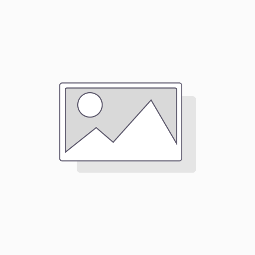 DASHI SLIDE COLLAR LARGE