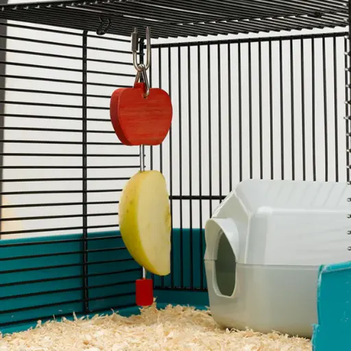 FRUIT HOLDER FERPLAST