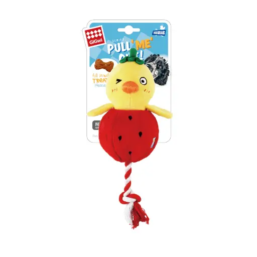 GIGWI, CHICK-FOODIE ORD WITH SQUEAKER INSIDE