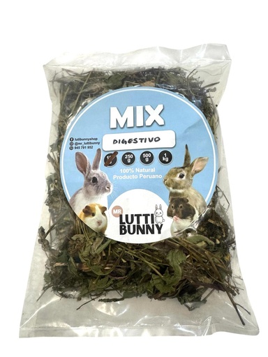 MR LUTTI MIX DIGESTIVO 100 GR