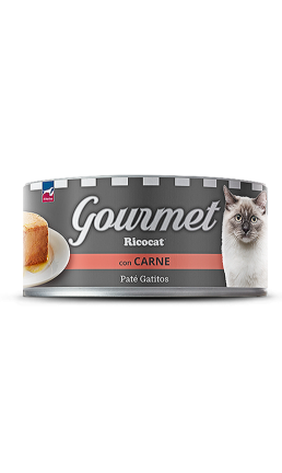 RICOCAT GOURMET CACHORRO PATE CON CARNE 3 OZ