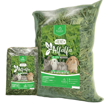 ZANAHORIA HENO ALFALFA 1 KG