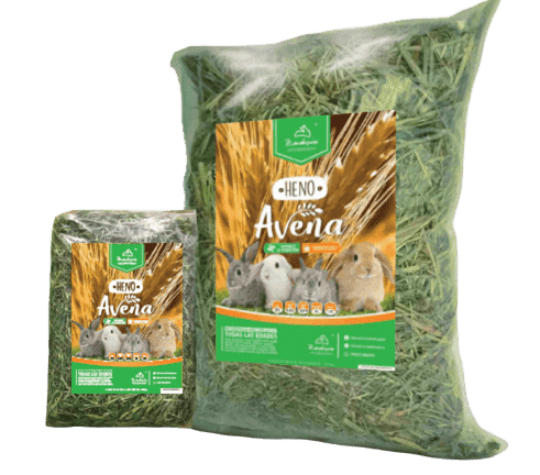 ZANAHORIA HENO AVENA 1 KG