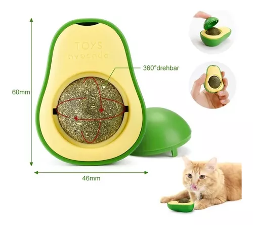 CATNIP EN PALTA