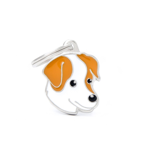 MY FAMILY - WHITE AND BROWN JACK RUSSELL DOG 