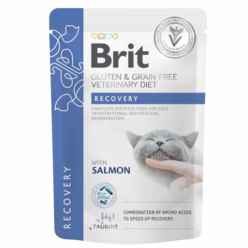 BRIT GF VET DIETS CAT CAN RECOVERY 85 GR  